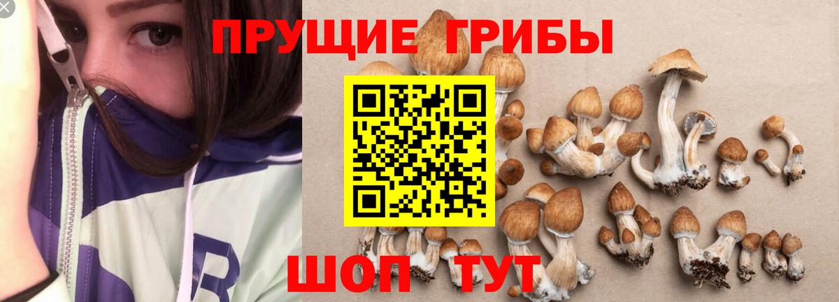 Ефремов  где купить наркотик  Вход с VPN  Псилоцибиновые грибы мухоморы 